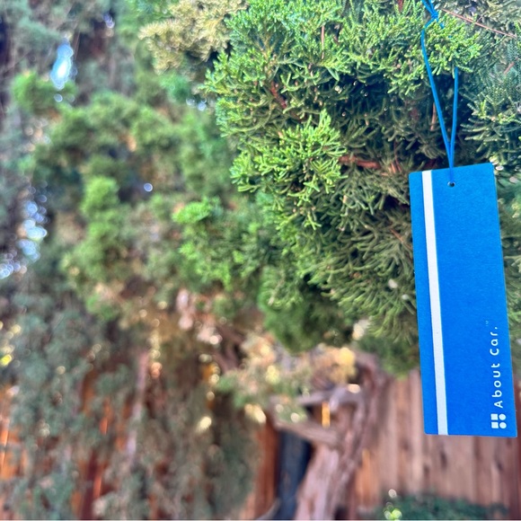 About Car Air Freshener | 12 Count (Pack of 1) | Coastal Mist - Picture 2 of 6